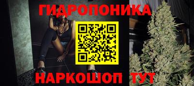 стаф Сланцы