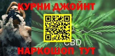 стаф Сланцы