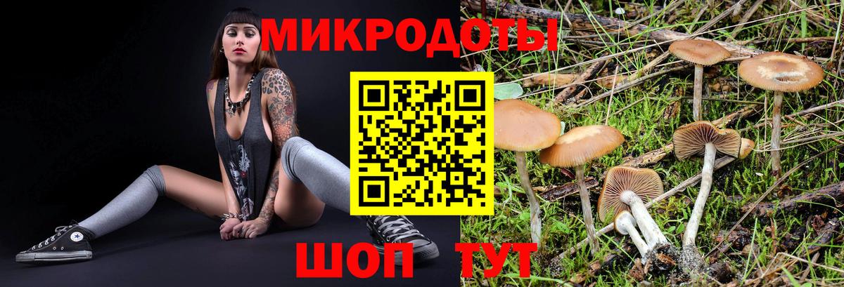 Галлюциногенные грибы GOLDEN TEACHER Прокопьевск