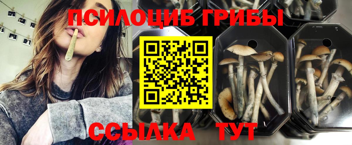 Прокопьевск  Галлюциногенные грибы мухоморы  Псилоцибиновые грибы мицелий  купить наркотик  Вход с VPN 